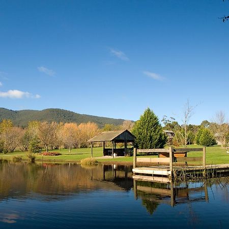 Sanctuary Park Cottages Healesville Eksteriør bilde