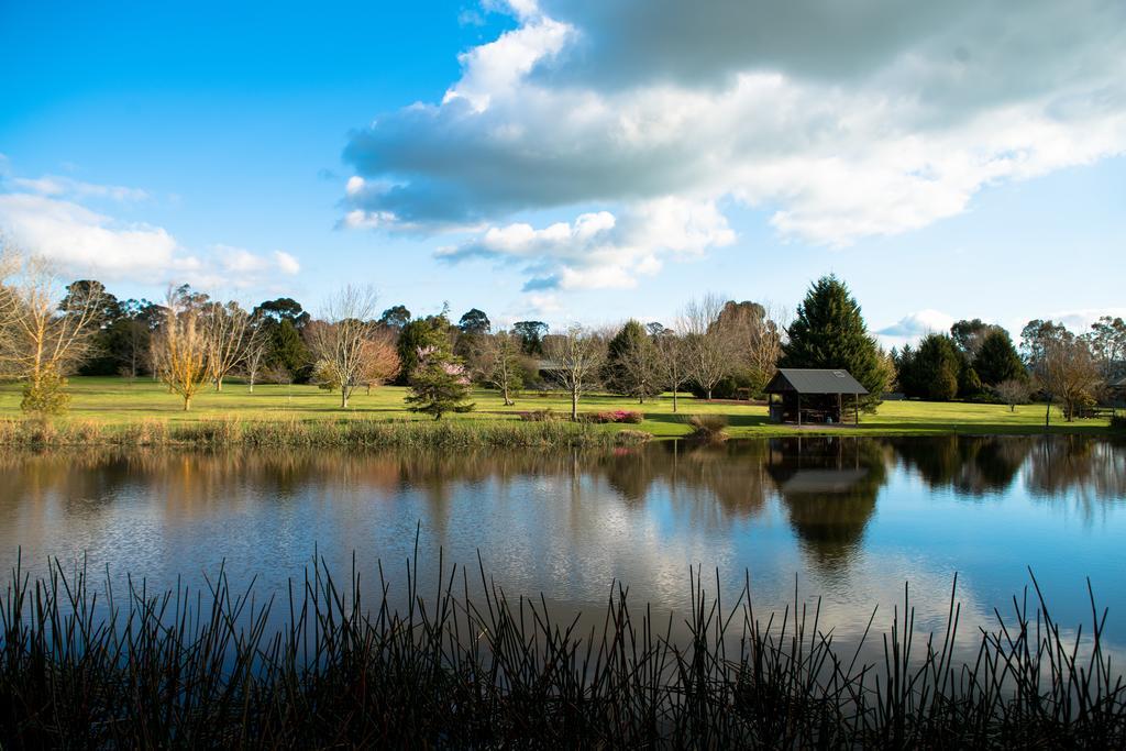 Sanctuary Park Cottages Healesville Eksteriør bilde