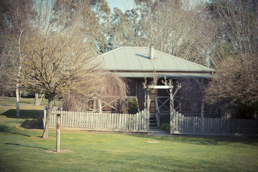 Sanctuary Park Cottages Healesville Eksteriør bilde