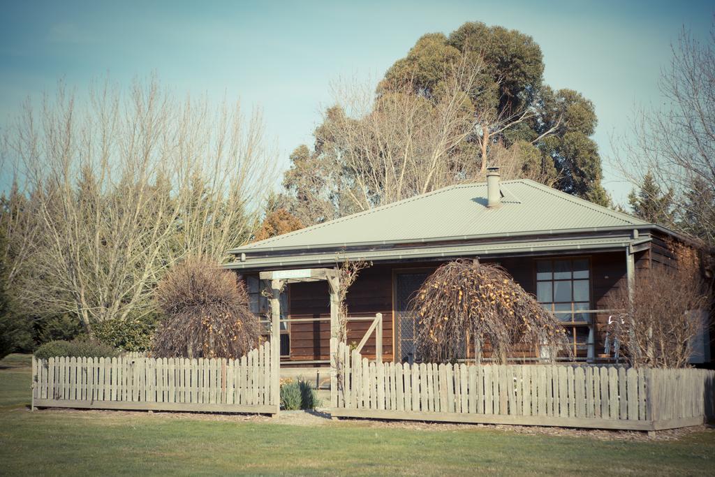 Sanctuary Park Cottages Healesville Eksteriør bilde