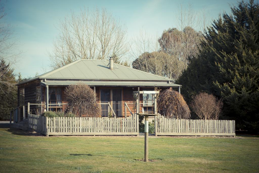 Sanctuary Park Cottages Healesville Rom bilde