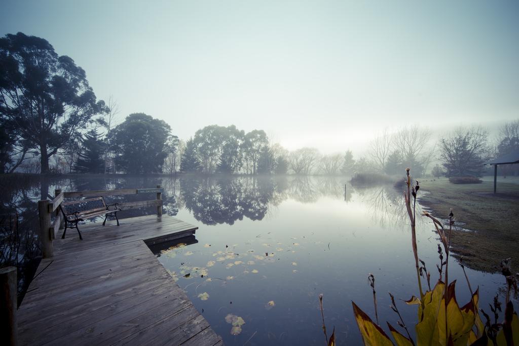 Sanctuary Park Cottages Healesville Eksteriør bilde