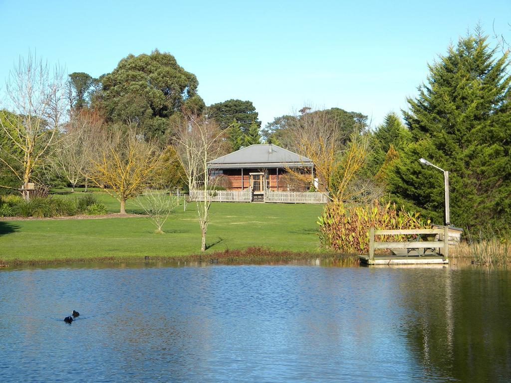 Sanctuary Park Cottages Healesville Rom bilde