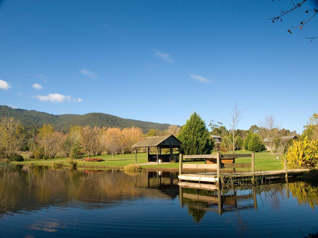 Sanctuary Park Cottages Healesville Eksteriør bilde