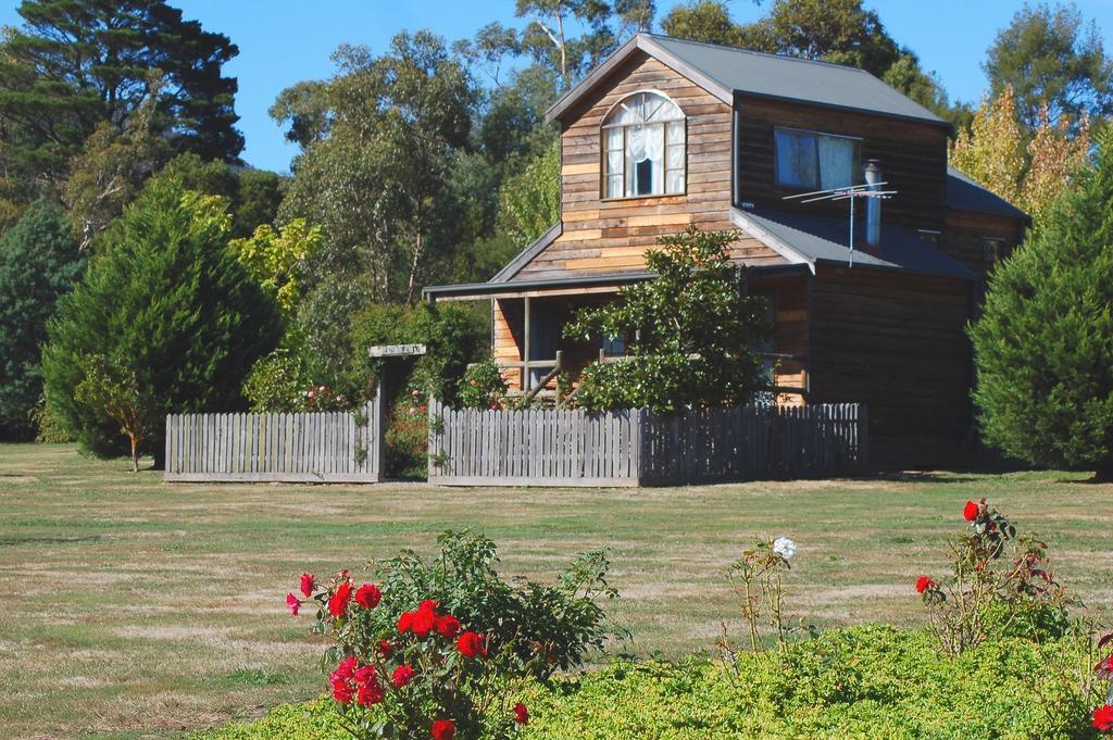 Sanctuary Park Cottages Healesville Rom bilde