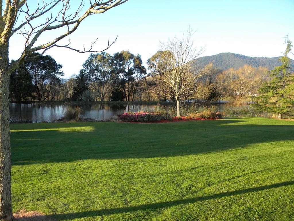 Sanctuary Park Cottages Healesville Eksteriør bilde