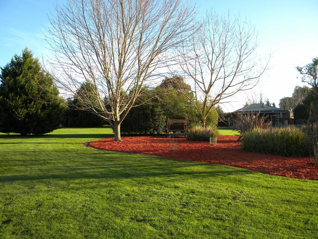 Sanctuary Park Cottages Healesville Eksteriør bilde